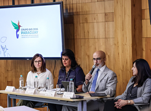 Paraguay será sede de la Asamblea Anual del BID con delegaciones de 48 países