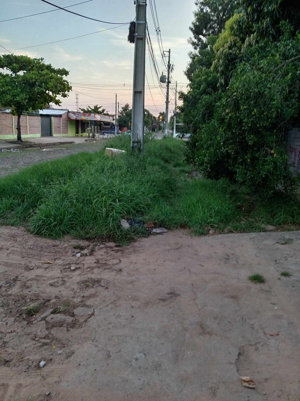 Barrio San José: Yuyal y basura en baldío provocan acumulación de agua » San Lorenzo PY