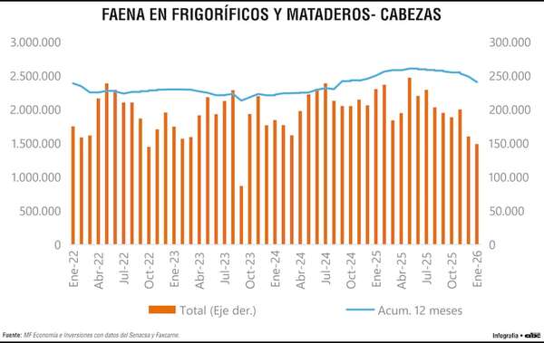 Faena bovina registra una caída del 35,4% interanual en enero de 2026 - Economía - ABC Color