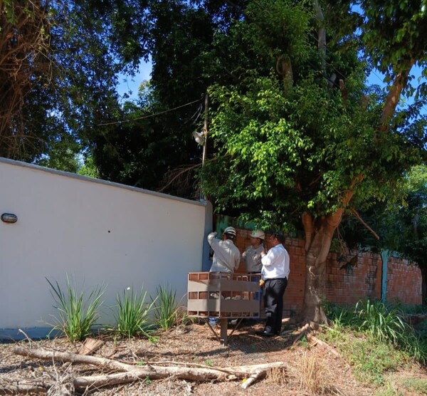 Criptominería ilegal y energía robada: ANDE expone fraude millonario mientras persisten pérdidas que paga el usuario