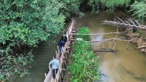 Fiscalía ambiental destruye presas ilegales en arroyo de Caazapá - PDS RADIO Y TV