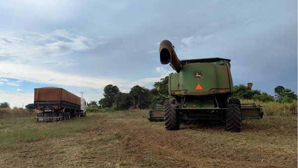 Denuncian a un concejal de Yasy Cañy por presunta apropiación