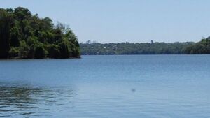 Ciudad del Este:  Fiscalía allana estancia tras denuncia de contaminación en el Lago Acaray