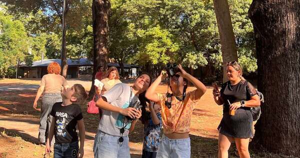 La Nación / MuCi invita a observar aves y descubrir insectos cada fin de semana