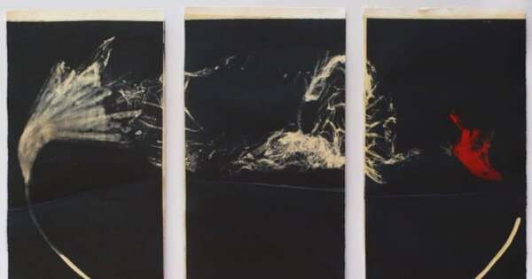 La Nación / El arte paraguayo brilla en galerías locales y ferias de España