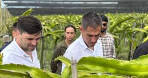 La Nación / Autoridades verifican potencial exportador de frutas en finca productiva