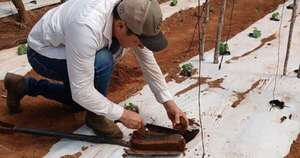 La Nación / Análisis de suelo: una herramienta fundamental para potenciar los cultivos y su rendimiento