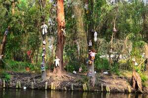 Turismo oscuro: mística e historia de la Isla de las Muñecas en Xochimilco - Viajes - ABC Color