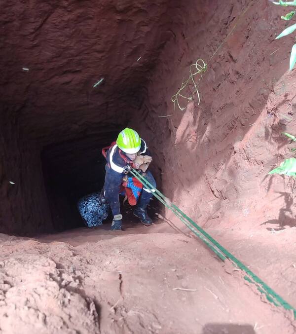 Bomberos rescatan a perrito que cayó en un pozo de más de 35 metros en Ypané