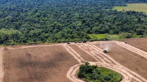 Inteligencia militar afirma que en la zona del secuestro también operan otras organizaciones criminales - Nacionales - ABC Color