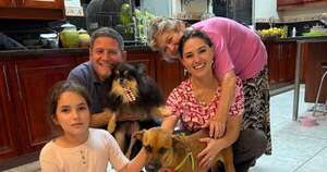 Diario HOY | Canela ya fue adoptada por una familia y ahora solo espera su prótesis mandibular