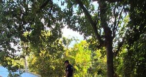 Diario HOY | Arroyos y Esteros: imputan a dos personas por contrabando de 25 toneladas de azúcar