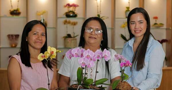 La Nación / Kambuchi Apo: la artesanía ancestral que llega a nuevos espacios de la mano de Keiki