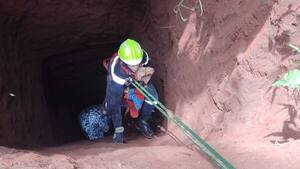 Rescatan a perrito que quedó más de un día atrapado dentro de un pozo en Ypané