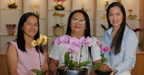 La Nación / Kambuchi apo: artesanía ancestral de mano de Keiki