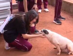 En vez de farrear por UPD visitaron a animalitos