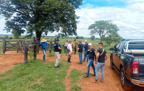 Denuncian robo de 21 toros en establecimiento ganadero de Yby Ya’u - Concepción al Día