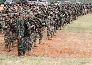 Defensa aclara que intervención de las FF. AA no significa "poderes especiales"