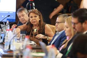 En reunión de la Comisión, senadora pide renuncia del presidente del IPS por retraso en compra de stents