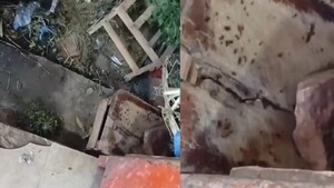 Denuncian invasión de cucarachas en el Mercado de Itá