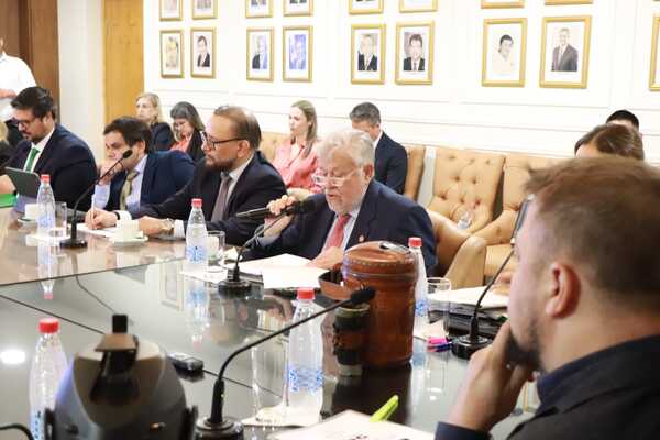 Titular de IPS compareció ante la Comisión Permanente del Senado - trece