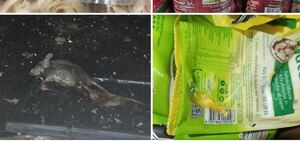 Dinavisa suspende actividades al Supermercado Rosarina, hallaron hasta ratas muertas