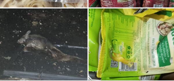 Dinavisa suspende actividades al Supermercado Rosarina, hallaron hasta ratas muertas