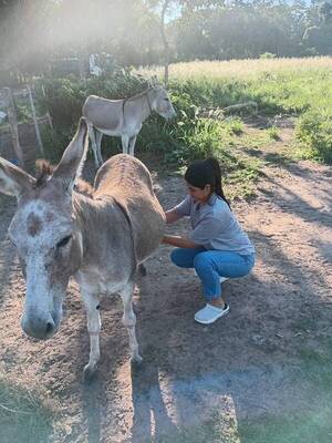 Leche de burra: “Dicen que es milagrosa”