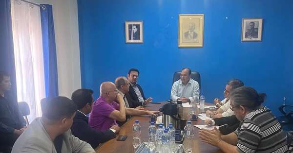 La Nación / PLRA pide prórroga al TSJE para continuar verificación