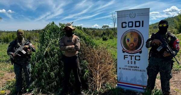 La Nación / Rol de militares es garantizar seguridad