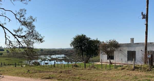 La Nación / Déficit hídrico en Uruguay deriva en una emergencia agropecuaria