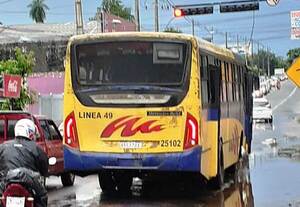 Colectivo “colador” •