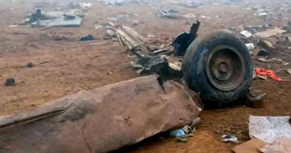 La Nación / Perrito de un coronel sobrevive a caída de helicóptero con 15 muertos en Perú