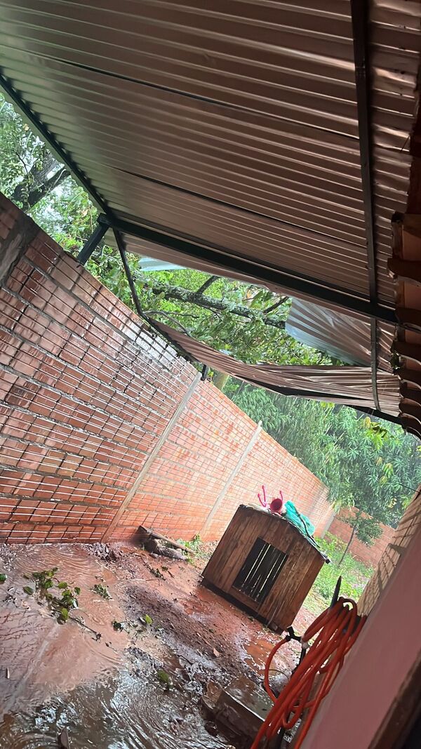 Popular / Yvyramata ho'a sobre una casa y piden socorro a la Muni