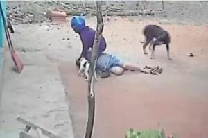 Popular / Sexagenaria fue víctima de brutal ataque de dos malandros