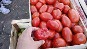 Tomate caro: comerciantes atribuyen a escasez y prohibición de importación  - Nacionales - ABC Color