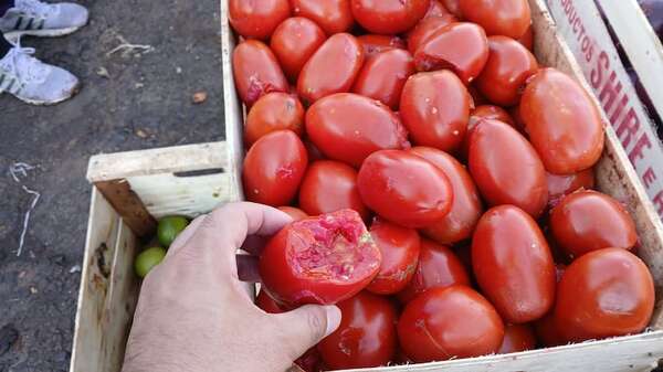 Tomate caro: comerciantes atribuyen a escasez y prohibición de importación  - Nacionales - ABC Color