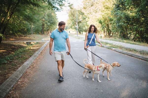 Etología urbana: cómo lograr que tu perro camine junto a vos sin tirar de la correa - Mascotas - ABC Color