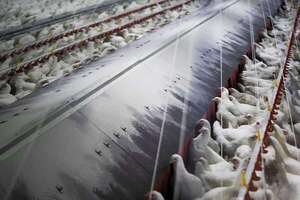 AUDIO: Influenza aviar: prohíben importación de aves vivas y huevos desde Argentina  - A La Gran 7-30 - ABC Color