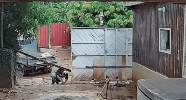 Trabajador murió tras ser golpeado por un tirante en CDE - Noticiero Paraguay