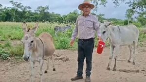 ¿Milagrosa? leche de burra causa sensación