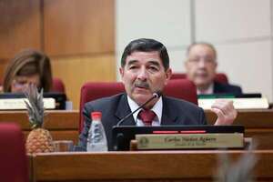 Caja Fiscal: senador excartista amenaza con juicio político a Santiago Peña - Política - ABC Color