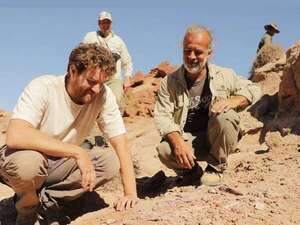 Investigadores descubren un raro dinosaurio de 90 millones de años en la Patagonia - Ciencia - ABC Color