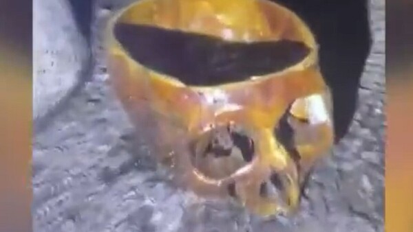 Una mujer y sus perros hallan un cráneo humano en la vía pública en Asunción