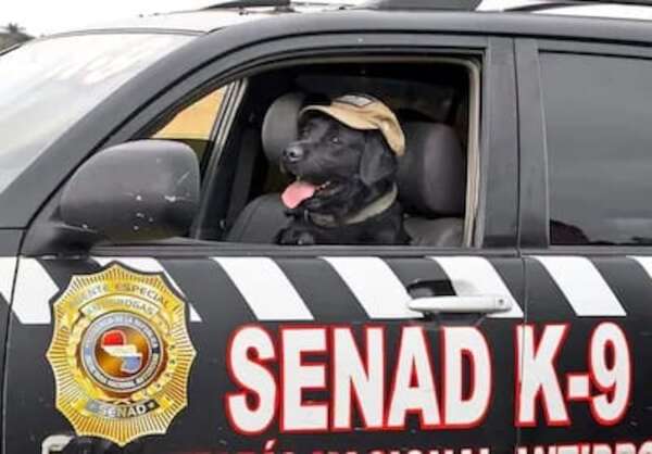 Recomendaciones de la Senad para proteger a niños, niñas y adolescentes en el inicio de clases - Nacionales - ABC Color