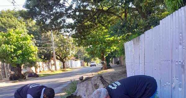 Diario HOY | Detectan jeringas y otros desechos patológicos en la vía pública