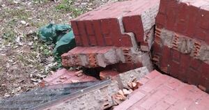 La Nación / Vandalizan monumento en honor a Eduvigis Díaz