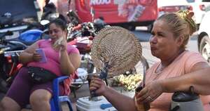 Diario HOY | Pronostican días muy calurosos y sin lluvias hasta el lunes