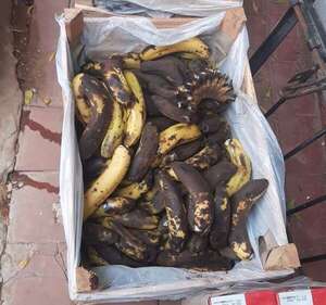 Hambre Cero: bananas podridas y tomates en falta en escuelas de Central y Villa Hayes - Nacionales - ABC Color