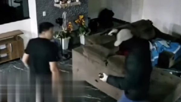 Video: Familia sufre una noche de terror con asalto de falsos policías en Minga Guazú